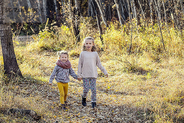 Zwei junge Mädchen  die Schwestern sind  laufen an einem warmen Herbstabend durch den Wald in einem Stadtpark; Edmonton  Alberta  Kanada