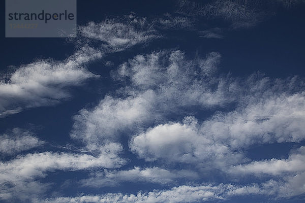 Wolkenformationen an einem blauen Himmel; Edmonton  Alberta  Kanada