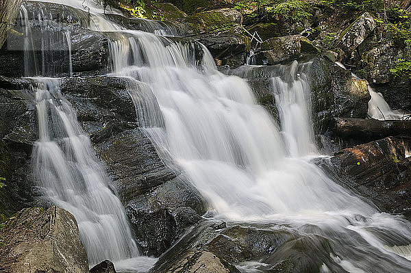 Wasserfall stürzt eine zerklüftete Felsklippe hinunter; Dundas  Ontario  Kanada