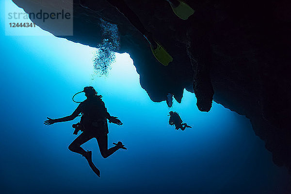 Taucher am Great Blue Hole Tauchplatz am Belize Barrier Reef. Dieser Ort wurde durch Jacques Cousteau berühmt  der ihn zu einem der fünf besten Tauchplätze der Welt erklärte  Belize
