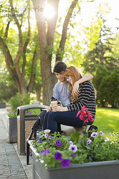 Ein junges Paar sitzt zusammen auf einer Bank in einem Park und checkt soziale Medien auf einem Smartphone  Edmonton  Alberta  Kanada