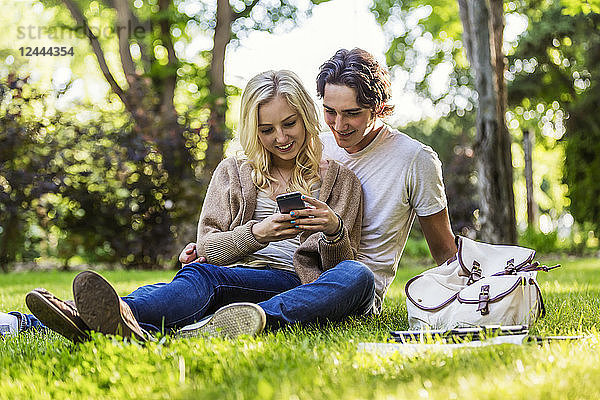 Ein junges Paar sitzt im Gras auf dem Universitätscampus und studiert mit einem Lehrbuch und einem Tablet  während es ein Smartphone benutzt  Edmonton  Alberta  Kanada