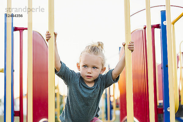 Ein junges Mädchen mit blondem Haar spielt auf einem Spielplatz und klettert an einem warmen Herbsttag auf eine Felsenleiter  Spruce Grove  Alberta  Kanada