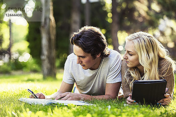 Ein junges Paar studiert im Freien auf dem Rasen des Universitätscampus mit einem Lehrbuch und einem Tablet und überprüft die sozialen Medien auf einem Smartphone  Edmonton  Alberta  Kanada