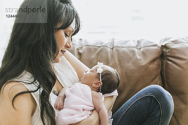 Neugeborenes Baby in den Armen der Mutter zu Hause; Surrey  British Columbia  Kanada