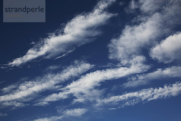 Wolkenformationen an einem blauen Himmel; Edmonton  Alberta  Kanada