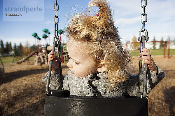 Ein süßes junges Mädchen schaut weg  während es auf einem Spielplatz während der Herbstsaison schaukelt  Spruce Grove  Alberta  Kanada