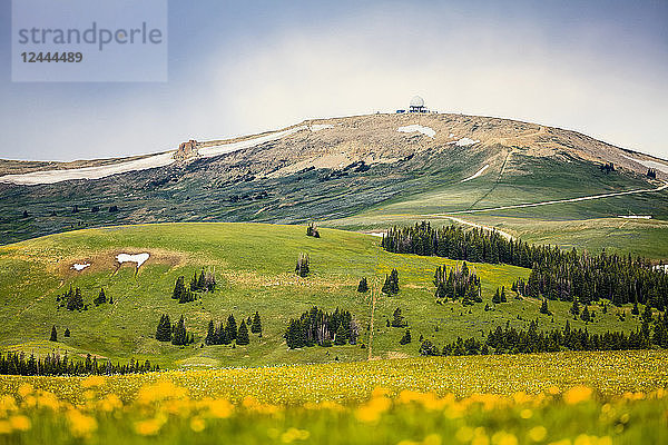 Medizinrad  Medicine Mountain National Historic Landmark  Lovell  Wyoming  Vereinigte Staaten von Amerika