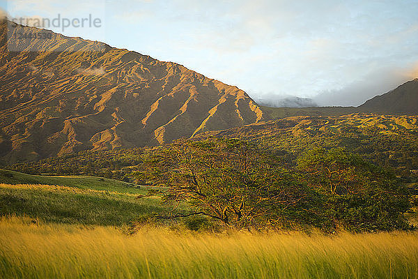 Hänge des Haleakala von Kaupo aus gesehen  Kipahulu  Maui  Hawaii  Vereinigte Staaten von Amerika