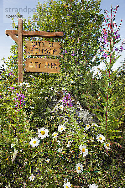 Stadt Seldovia Stadtpark Zeichen und Wildblumen  Southcentral  Alaska  Sommer