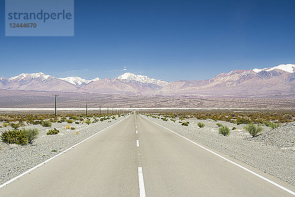 Eine gerade Straße in der hellen Wüste führt zu einer Bergkette mit schneebedeckten Gipfeln in der Ferne; Barreal  San Juan  Argentinien