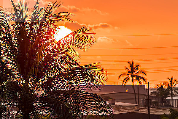 Die untergehende Sonne von einem Hotelbalkon aus durch eine Kokosnusspalme betrachtet  Kailua-Kona  Insel Hawaii  Hawaii  Vereinigte Staaten von Amerika