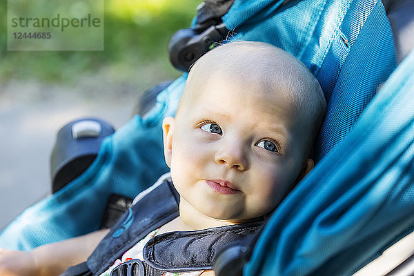 Ein süßes kleines Mädchen sitzt in einem Kinderwagen und betrachtet etwas Interessantes in einem Park an einem warmen Sommertag  Edmonton  Alberta  Kanada