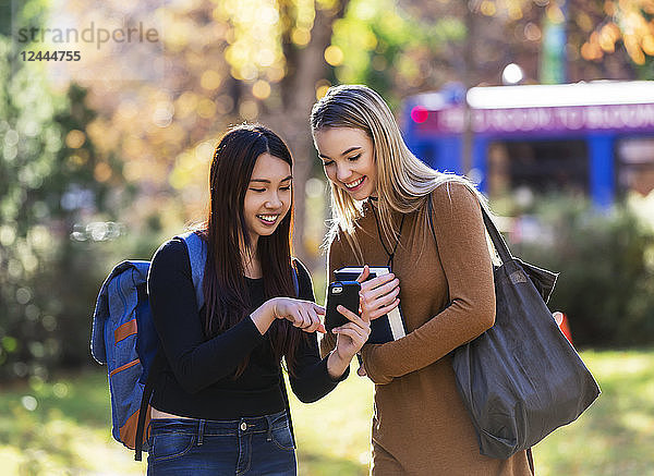 Zwei befreundete Studenten stehen zusammen auf einem Universitätscampus und schauen auf ein Smartphone  Edmonton  Alberta  Kanada