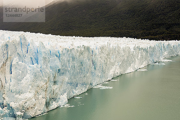 Der Perito-Moreno-Gletscher aus der Nähe mit blauem Eis und grünem Wasser; Cafayate  Provinz Santa Cruz  Argentinien