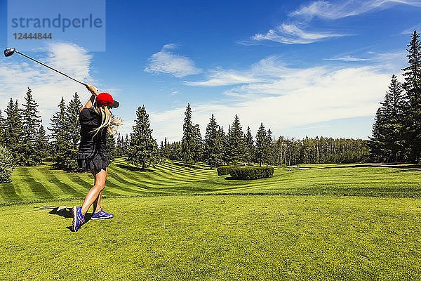 Eine Golferin schlägt einen Golfball über das grüne Gras eines Golfplatzes  wobei sich ihr Driver und der Ball in der Luft befinden; Edmonton  Alberta  Kanada