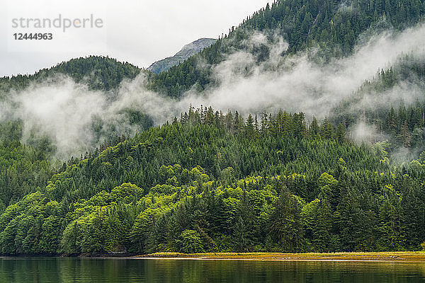 Stimmungsvolle Landschaft mit Nebel über dem Great Bear Rainforest  Hartley Bay  British Columbia  Kanada
