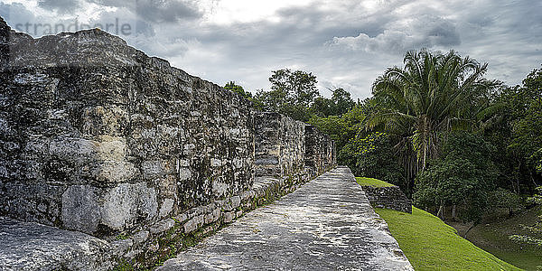 Verwitterte Steinmauer und Weg in einem Maya-Dorf  San Jose Succotz  Cayo District  Belize