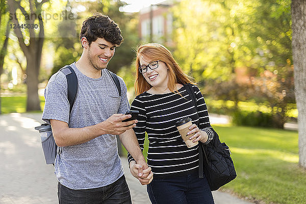 Ein junges Paar  das zusammen spazieren geht und auf dem Universitätsgelände in Edmonton  Alberta  Kanada  soziale Medien auf seinem Smartphone abruft.