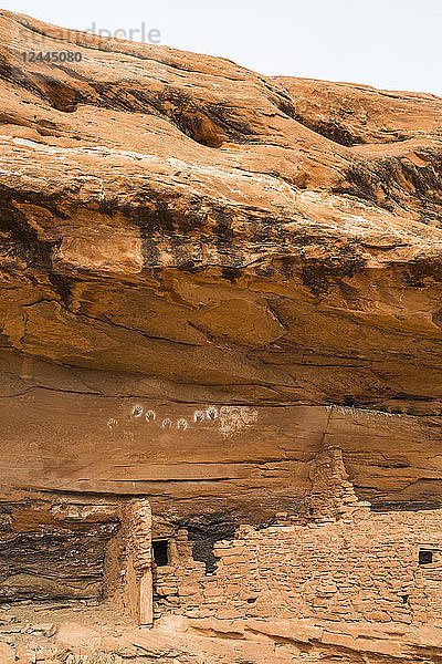 Umgekehrte Handabdrücke  Ancestral Pueblo  bis zu 1.000 Jahre alt  Bears Ears National Monument  Utah  Vereinigte Staaten von Amerika