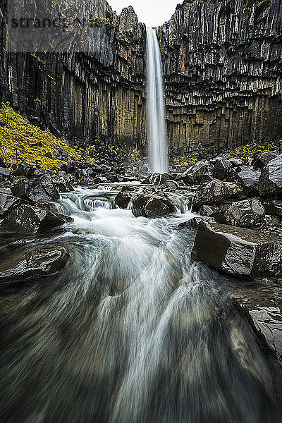 Svartifoss-Wasserfall  Island