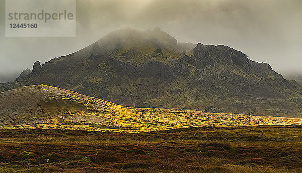 Herbstfarben in der Tundravegetation auf der isländischen Halbinsel Snaefellsness  Island