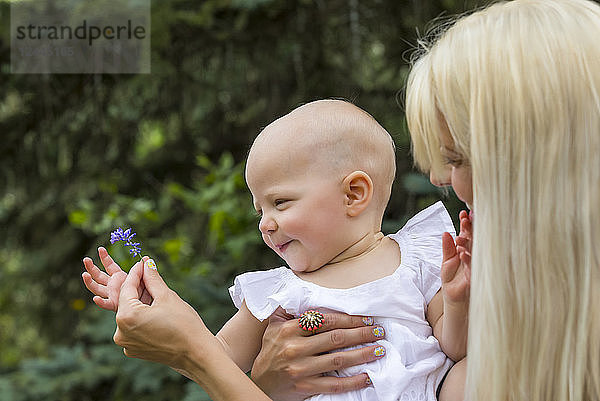 Eine junge Mutter zeigt ihrer kleinen Tochter eine Blume  während sie an einem warmen Sommertag draußen in einem Park Zeit miteinander verbringt  Edmonton  Alberta  Kanada