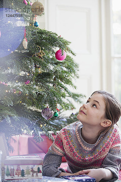 Neugieriges Mädchen mit Geschenk schaut zum Weihnachtsbaum hinauf