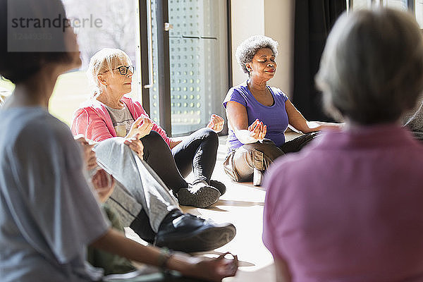 Serene active seniors meditating in circle