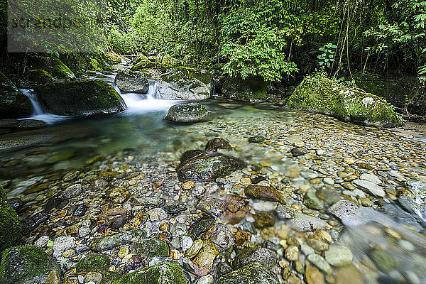 Fluss im Atlantischen Regenwald im Ökologischen Reservat Serrinha do Alambari  Rio de Janeiro  Brasilien