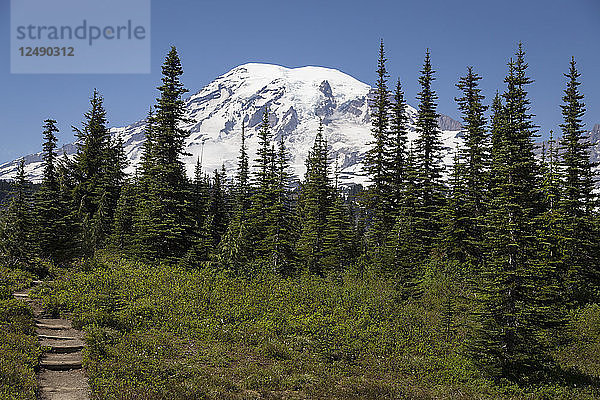 Bild einer schneebedeckten Bergspitze und eines Abhangs im Mt. Rainier National Park in Washington. Das Landschaftsfoto zeigt weiches Licht  einen schneebedeckten Berggipfel  Bäume und einen Wanderweg.