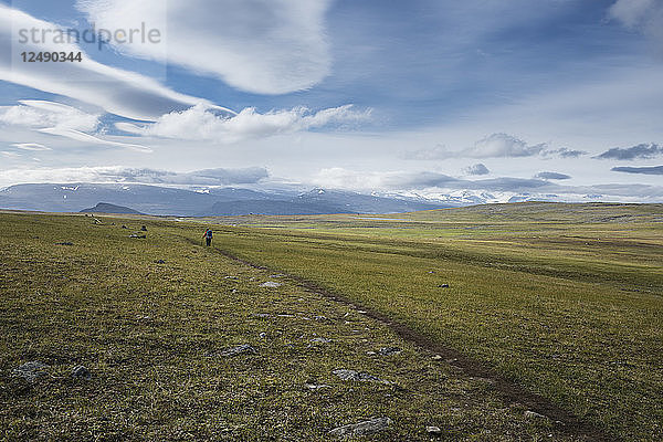 Einsamer Wanderer auf dem Weg über die Hochebene zwischen Teusjaure und Vakkotavare  Kungsleden  Lappland  Schweden