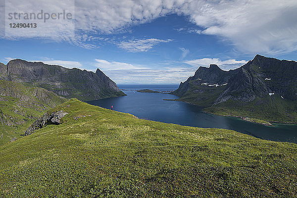 Wanderin wandert am Hang über dem Reinefjord  Moskenes??y  Lofoten  Norwegen