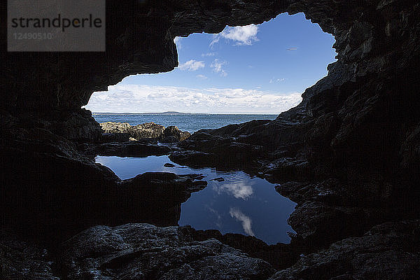 Ein Gezeitentümpel mit Himmelsspiegelung in der Anemonenhöhle im Acadia National Park