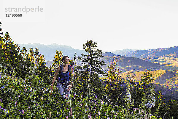 Frau wandert durch ein Wildblumenfeld im Gallatin National Forest in Montana