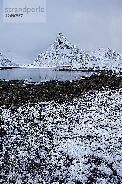 Volandstind Berggipfel erhebt sich aus dem Meer in Flakstad  Lofoten Inseln  Norwegen