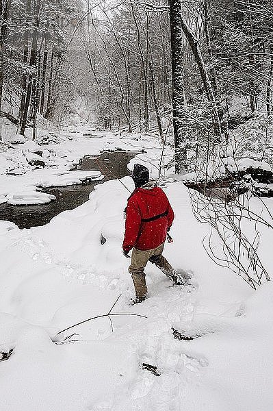 Ein Mann beim Fliegenfischen an einem verschneiten  kalten Wintertag. Er sucht in einem kleinen Bach eine freie Stelle zum Fischen.