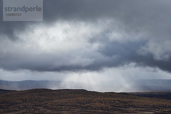 Regen über der Herbstlandschaft im Vindelfj?§llen-Naturreservat  Kungsleden-Weg  Lappland  Schweden