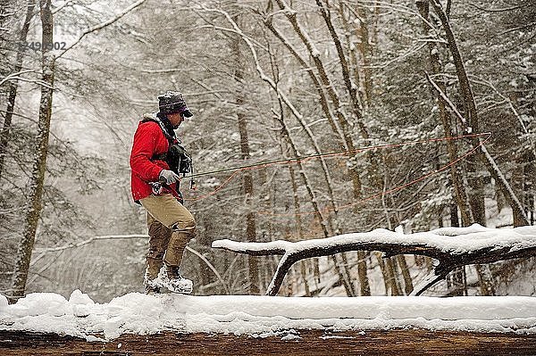 Ein Mann beim Fliegenfischen an einem verschneiten  kalten Wintertag. Er überquert einen verschneiten Baumstamm auf der Suche nach einem guten Platz zum Fischen.