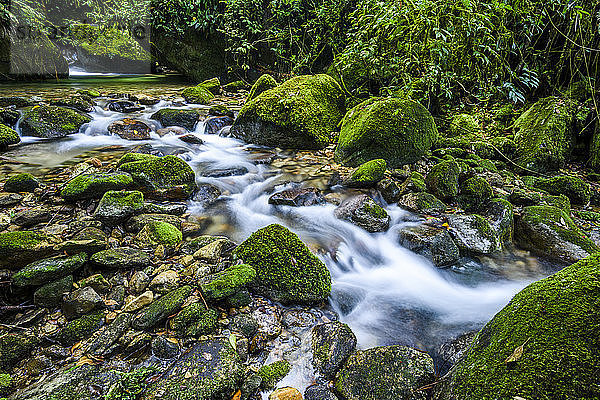 Fluss im Atlantischen Regenwald im Ökologischen Reservat Serrinha do Alambari  Rio de Janeiro  Brasilien