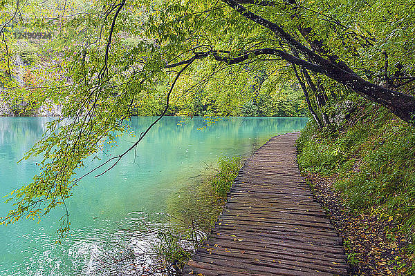Leere Uferpromenade am See im Nationalpark Plitvicer Seen