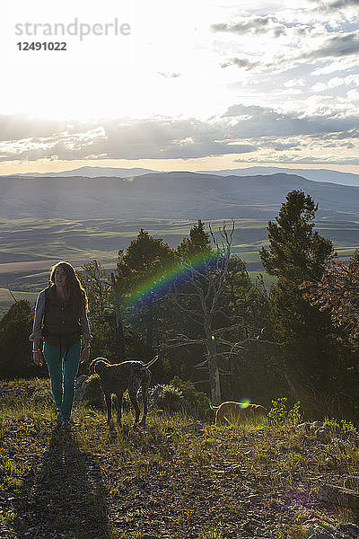 Eine Frau wandert mit ihren beiden Hunden auf einem Bergrücken in Montana.