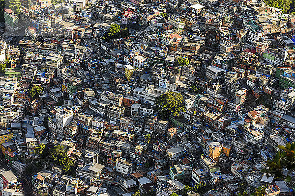 Rocinha Favela  der größte Slum Brasiliens  in Rio de Janeiro  Brasilien