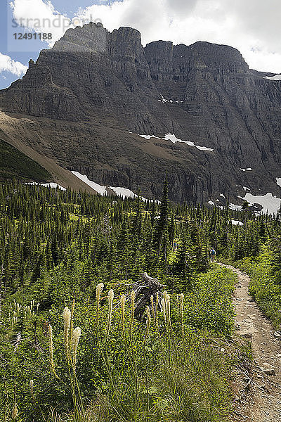 Der Wanderweg zum Iceberg Lake bietet Ausblicke auf Blumen und Gebirgswände. An diesem Tag war der Himmel von schönen Wolken übersät. Aufgenommen im Glacier National Park in Montana.