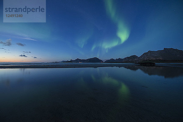 Nordlichter leuchten am Himmel über dem Strand von Ytresand  Moskenes??y  Lofoten  Norwegen