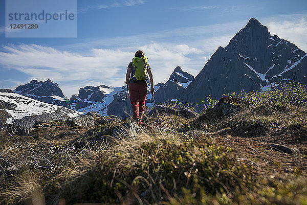 Wanderin auf dem Weg zum Gipfel des Flakstadtind  Flakstad??y  Lofoten  Norwegen