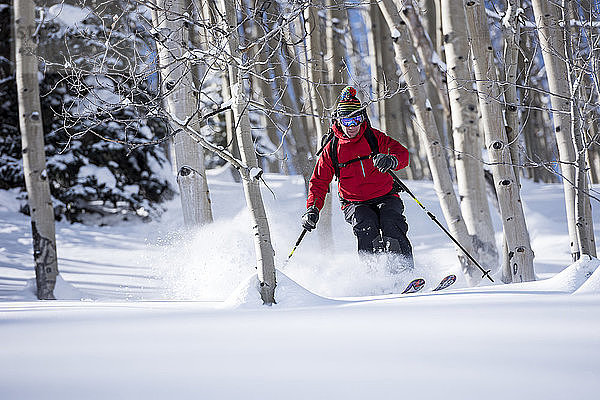 Mann Skifahren auf verschneiter Landschaft durch einen Espenhain