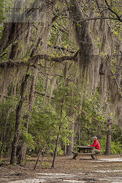 Spanisches Moos hängt über einem Picknickplatz im Poinsett State Park in South Carolina
