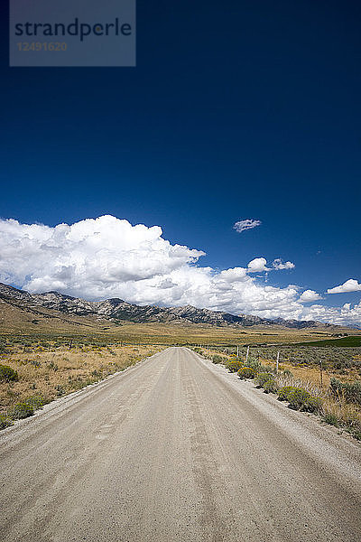 Landschaftliche Ansicht der Ruby Valley Road in Nevada  USA