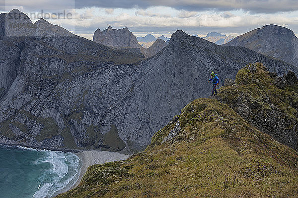 Wanderin wandert auf einem schmalen Grat in der Nähe des Storskiva-Gipfels  Moskenes??y  Lofoten  Norwegen